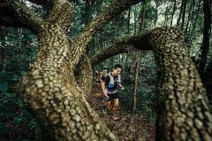 BIB: 
                            <button type="button" onclick="openModal(25393095)" class="btn btn-primary btn-sm float-right btn-popup" data-toggle="modal" data-target=".modal-high-quality">
                        <i class="fas fa-shopping-cart"></i> Add to Cart
                    </button>
                                            <button type="button" onclick="isThisMe(25393095, true)" class="btn btn-success btn-sm float-right btn-popup btn-isme hidden" data-toggle="tooltip" data-placement="bottom" title="นี่คือรูปของคุณใช่ไหม คลิกที่นี่เพื่อเอาเข้าอัลบั้ม">
                        <i class="fas fa-plus"></i> Add to album
                    </button>
                    <button type="button" onclick="isThisMe(25393095, false)" class="btn btn-warning btn-sm float-right btn-popup btn-isnotme hidden">
                        <i class="fas fa-ban"></i> Remove from album
                    </button>